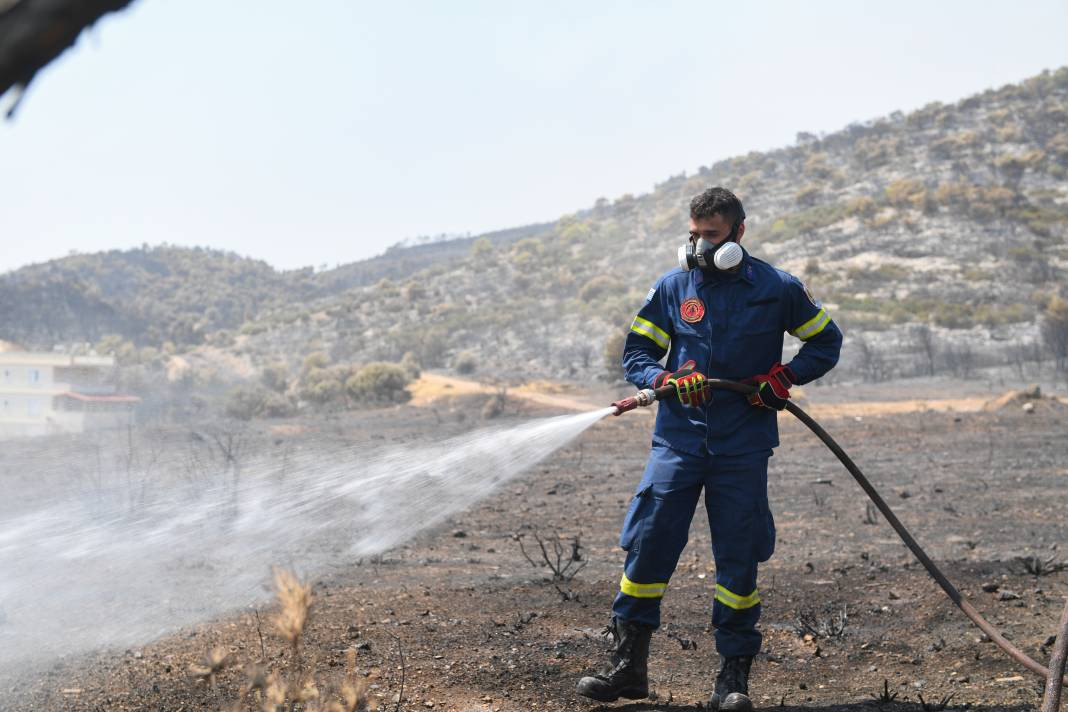 Meriç Bölgesi'nde yanan ormanlık alanda ceset bulundu - Resim: 14